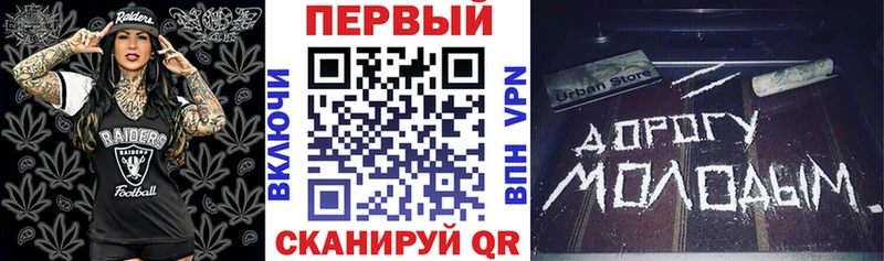kraken онион  Гатчина  Amphetamine Premium 