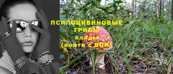 СК Белокуриха