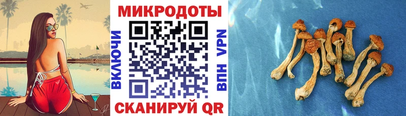 Псилоцибиновые грибы ЛСД  Гатчина 