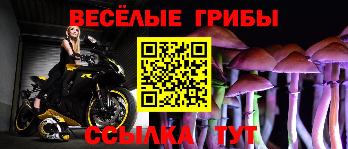 Галлюциногенные грибы Magic Shrooms Гатчина