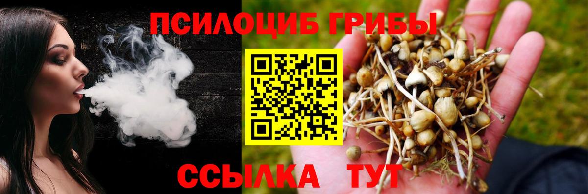 Гатчина  Псилоцибиновые грибы GOLDEN TEACHER  Вход с VPN 